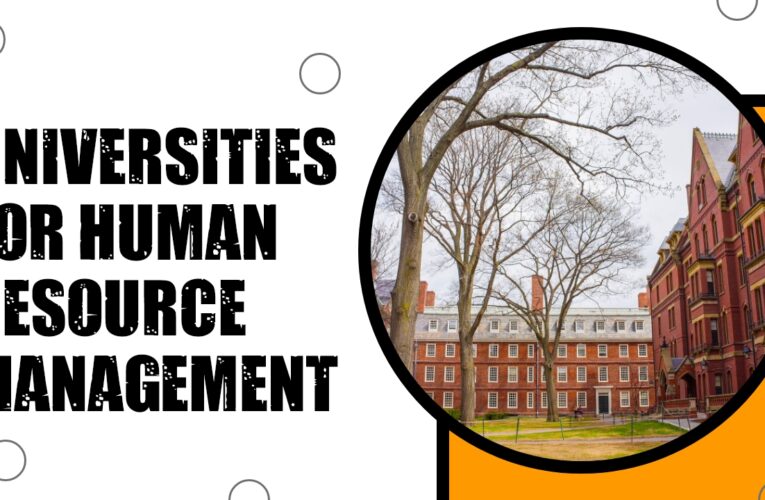 Shaping the Workforce: Top 3 Universities for Human Resource Management Students in the USA