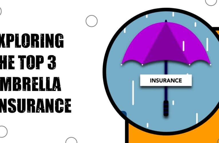Shielding Your Assets: Exploring the Top 3 Umbrella Insurance Providers in the UK